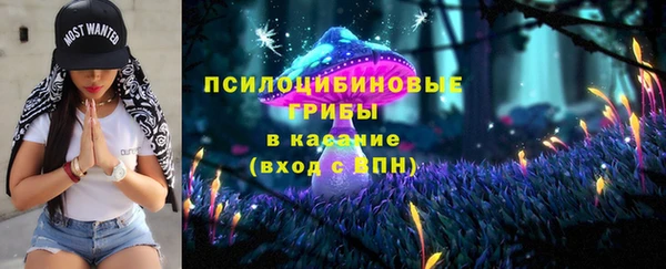 хмурый Костерёво