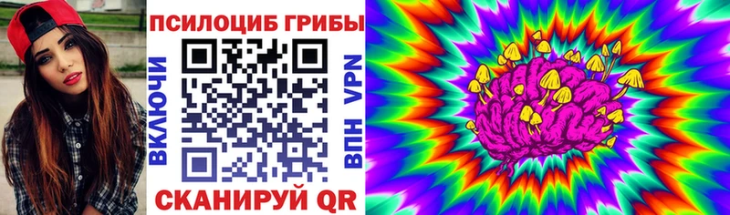 Псилоцибиновые грибы GOLDEN TEACHER  Батайск 