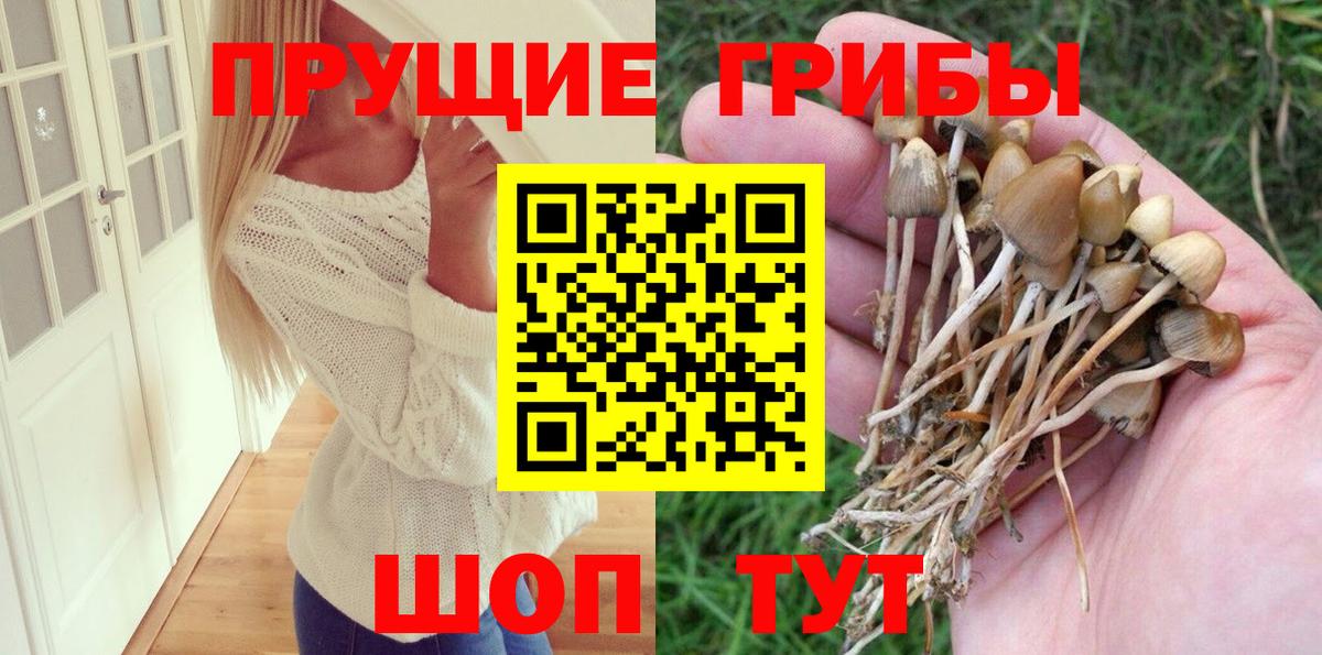 Псилоцибиновые грибы ЛСД  Батайск  Псилоцибиновые грибы прущие грибы 