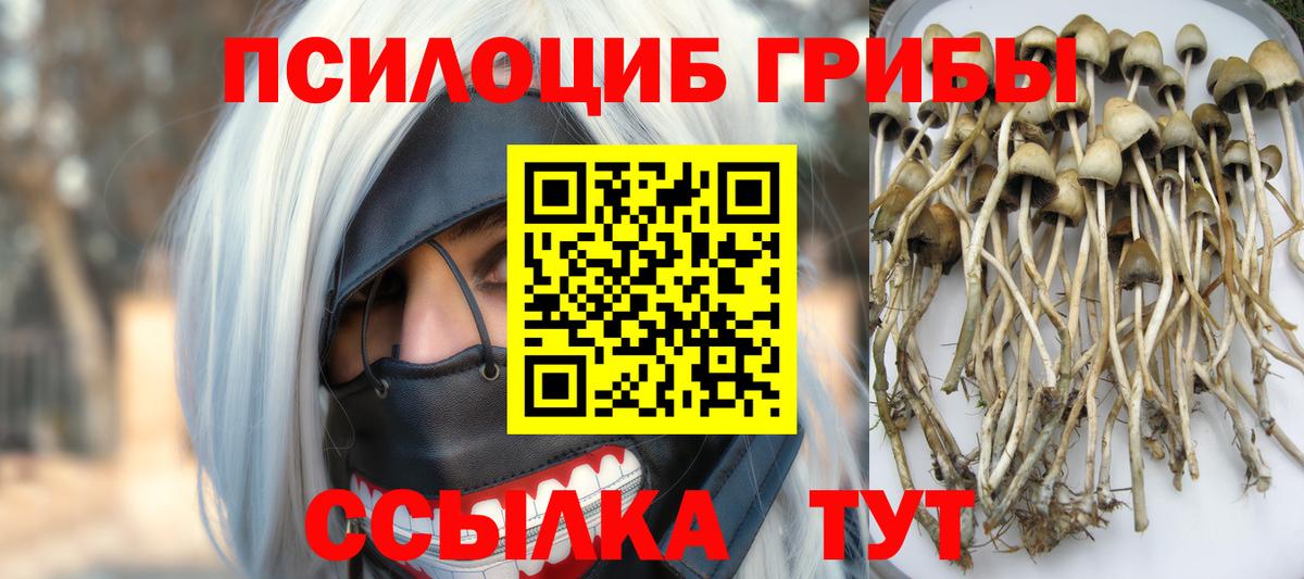 Галлюциногенные грибы GOLDEN TEACHER Батайск